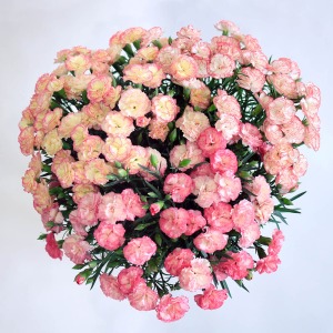 �^�ォ�猩���C���[�W�ł��B�����̃{�����[�����ɋ����܂��B