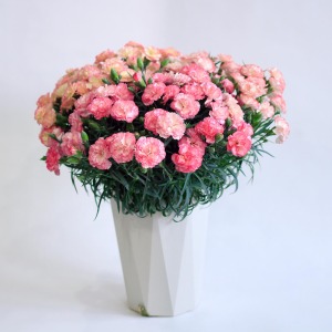 180����]���������Α��̃C���[�W�ł��B