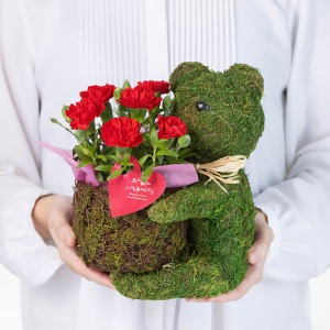 ��l�̏������������ꍇ�̑傫���C���[�W�ł��B