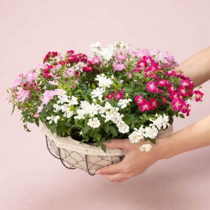 ��l�̏������������C���[�W�ł��B