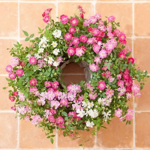 �^�ォ�猩����Ԃł��B