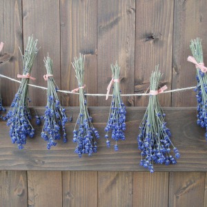 ����̋������x���_�[�Ȃ̂ŁA�Ԃ�E��Ńh���C�t�����[�ɂ��Ċy����ł��������̂��I�X�X���ł��B