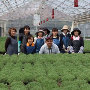 �N�Ԓʂ��ėl�X�ȐA�����͔|����Ă���J�V���|�̊F�l�B