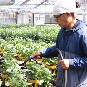 �ꔫ�ꔫ�A���̏�Ԃ����Ȃ���A�����Ȃǂ̊Ǘ����s���Ă��܂��B