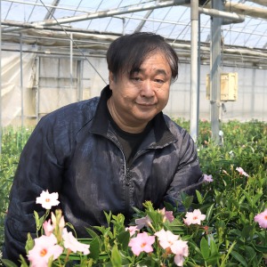 �}���f�r���Ƃ����΁u�Ƃ݂��t�����[�v����ƌ�����A�}���f�r����m��s�������Ƃ݂��t�����[���񂪈�Ă�p�X�e���s���N���y����ł��������B