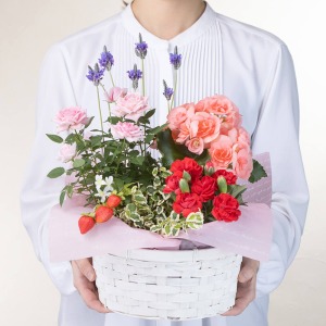 ��l�̏������������C���[�W�ł��B