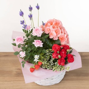 �ォ�猩���C���[�W�ł��B