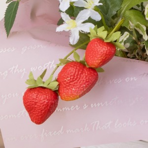 �C�`�S�̃s�b�N���A�N�Z���g�ɂȂ��Ă��܂��B