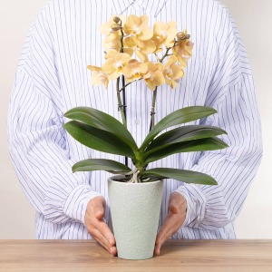 ��l�̏������������C���[�W�ł��B