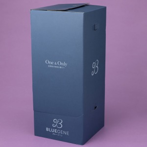 ��p�̔z�����ł��͂����܂��B���ʊ����ڂł��B