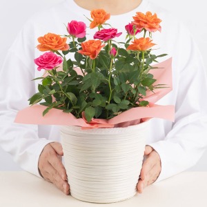 ��l�̏������������C���[�W�ł��B