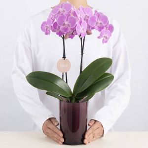 ��l�̏������������C���[�W�ł��B