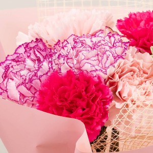 �s���N�̃O���f�[�V�����̃J�[�l�[�V�����ł܂Ƃ߂܂����B