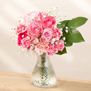 ���b�s���O���O���ƁA�قȂ镵�͋C�ł��y���݂��������܂��B��������ƃK���X�̂悤�Ȍ����ڂɂȂ�܂��B