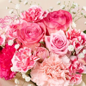 ��̓��炵���s���N�̃O���f�[�V�����ŉ��炵���܂Ƃ߂܂����B