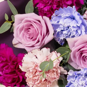 ���F�̃o����g���R�L�L���E�A���߃J�[�l�[�V���������킹���G���K���g�ȉԑ��ł��B