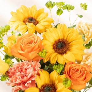 �Ђ܂������C���Ƀr�^�~���J���[�̉ԁX�Ŗ��邭�܂Ƃ߂܂����B