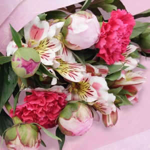 䉖�͂ڂ݂̏�Ԃł��͂����܂��B����ɉԊJ���l�q�����y���݂��������܂��B