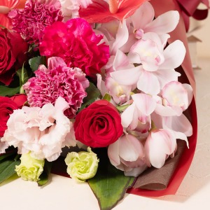 ��i�ŉ؂₩�ȃV���r�W�E�������ʊ������o���܂��B