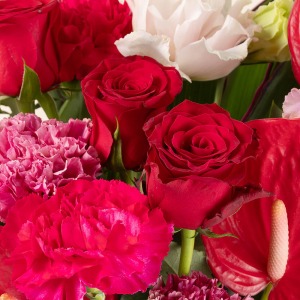 �N�₩�ȐԐF�����͓I�ȃo���ł��B