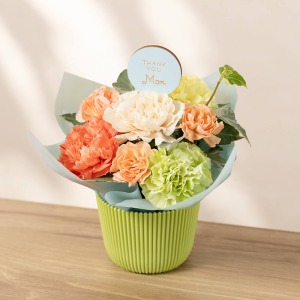 �ʂ̊p�x���猩���C���[�W�ł��B