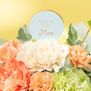 �uTHANK  YOU Mom�v�̃��b�Z�[�W�s�b�N�t���ł��B