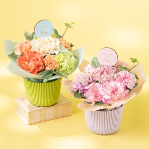 �L���[�g�ȃs���N�o�[�W�����ƌ��C�����ς��̃I�����W�o�[�W����������܂��B���ꂳ��̃C���[�W�ɍ��킹�Ă��I�т��������B