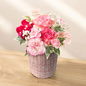 �ʂ̊p�x���猩���C���[�W�ł��B