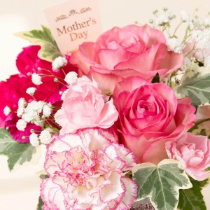 ��̓��炵���s���N�̃O���f�[�V�����ŉ��炵���܂Ƃ߂܂����B