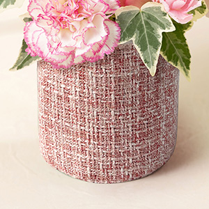 ���炵���s���N�̃c�C�[�h�o�X�P�b�g�ł��B