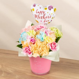 �ʂ̊p�x���猩���C���[�W�ł��B