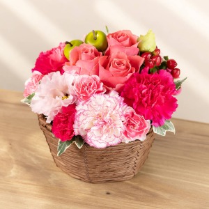 �ʂ̊p�x���猩���C���[�W�ł��B