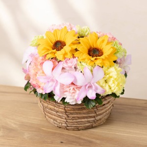 �ʂ̊p�x���猩���C���[�W�ł��B