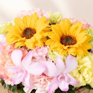 ���C���̃q�}������������������悤�Ƀr�^�~���J���[�Ō��C�����ς��ɂ܂Ƃ߂܂����B