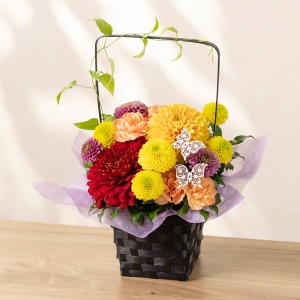 �ʂ̊p�x���猩���C���[�W�ł��B