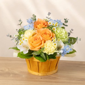 �ʂ̊p�x���猩���C���[�W�ł��B