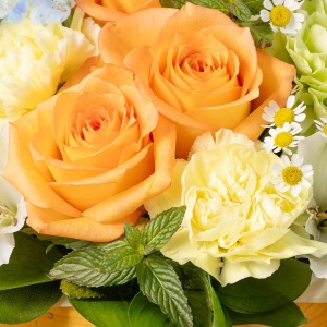 �I�����W�̃o�������C���ɖ��邭�u�₩�Ȉ�ۂɎd�グ�܂����B