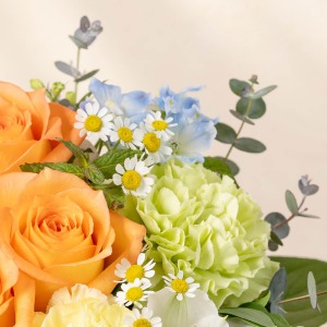 �}�g���J���A��f���t�B�j�E���̏��Ԃ��₳�������ꂳ��̃C���[�W�Ƀs�b�^���ł��B