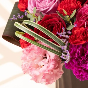 �J�[�u�������~�X�J���T�X���A�A�����W�����g�ɗ��̊���^���Ă��܂��B