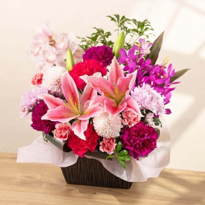 �ʂ̊p�x���猩���C���[�W�ł��B