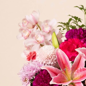 ��i�ŉ؂₩�ȃV���r�W�E�������ʊ������o���܂��B