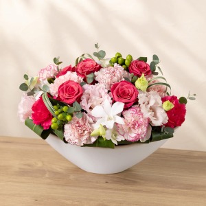 �ʂ̊p�x���猩���C���[�W�ł��B