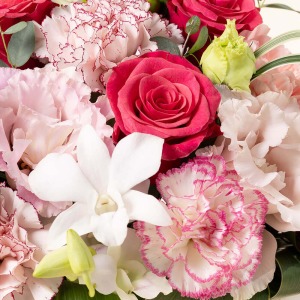 �s���N�̃o�������C���ɕ�̓��ɂ͌������Ȃ��J�[�l�[�V������g���R�L�L���E�����킹�܂����B