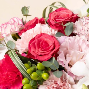 �s���N�̃O���f�[�V�����̉ԁX���D��ɍ炫�ւ�܂��B