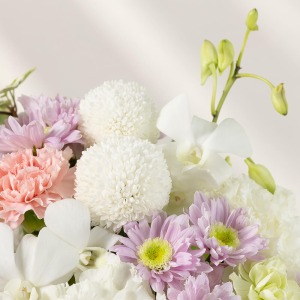 ���C���ɂ͔����s���|���}���������炢�܂����B