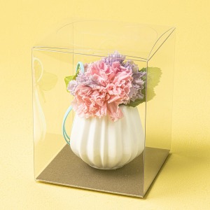 ���͂�����v���U�[�u�h�t�����[�ł��B���̂܂܏����Ă���������A�N���A�P�[�X�ɓ���Ă��͂����܂��B