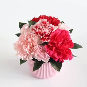 ��̓��@�A�����W�Z�b�g�u����g�g�L�ďC����g�g�L�ďC�@�R�`���Y�����̃[���[�v