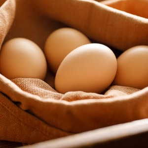 �ΐ쌧����s�̔_��ň�����G���{�̗����g�p���Ă��܂��B