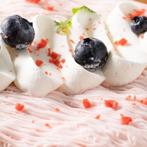 �P�[�L�̕\�ʂɂ̓u���[�x���[��N���[���A�Ō�Ƀt���[�Y�h���C�̂��������U��΂߂��A�؂₩�Ȉ�ۂł��B