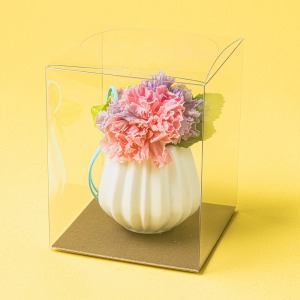 ���͂�����v���U�[�u�h�t�����[�ł��B���̂܂܏����Ă���������A�N���A�P�[�X�ɓ���Ă��͂����܂��B